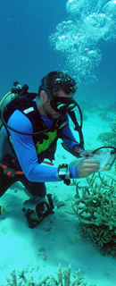 Photograph of a diver assessing the reef